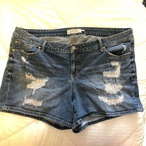 💙 2 for $25 💙 Torrid Distressed Denim Shorts